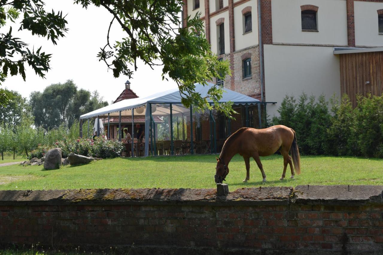Ferienanlage Gutshaus Gramkow Экстерьер фото